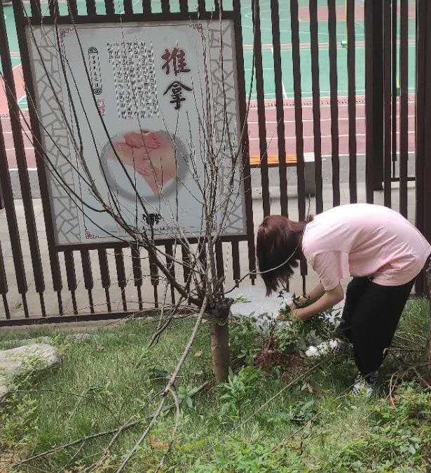 九州体育(中国)有限公司官网,长沙全日制中等职业学校,中医保健教学基地