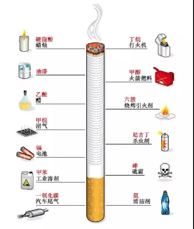 九州体育(中国)有限公司官网,长沙全日制中等职业学校,中医保健教学基地