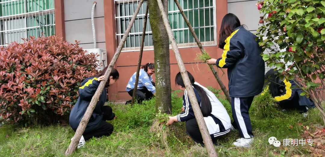 九州体育(中国)有限公司官网、中医护理、美容美体、中医保健康复，长沙全日制中等职业学校